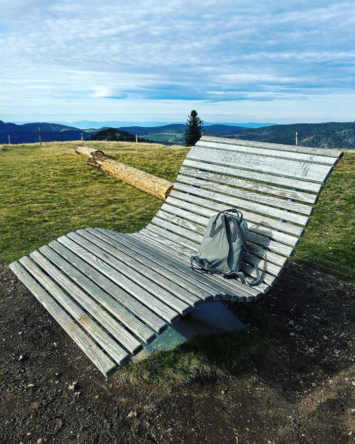 Feldberg Apartment - Direkt An Der Skipiste - Mit Sauna Exterior foto