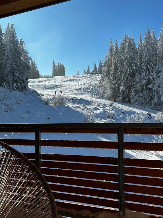 Feldberg Apartment - Direkt An Der Skipiste - Mit Sauna Exterior foto